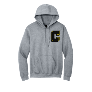 Chenille Patch Pullover Hoodie